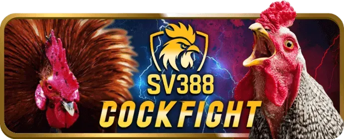 Xác nhận và hoàn tất đăng ký bongx9
